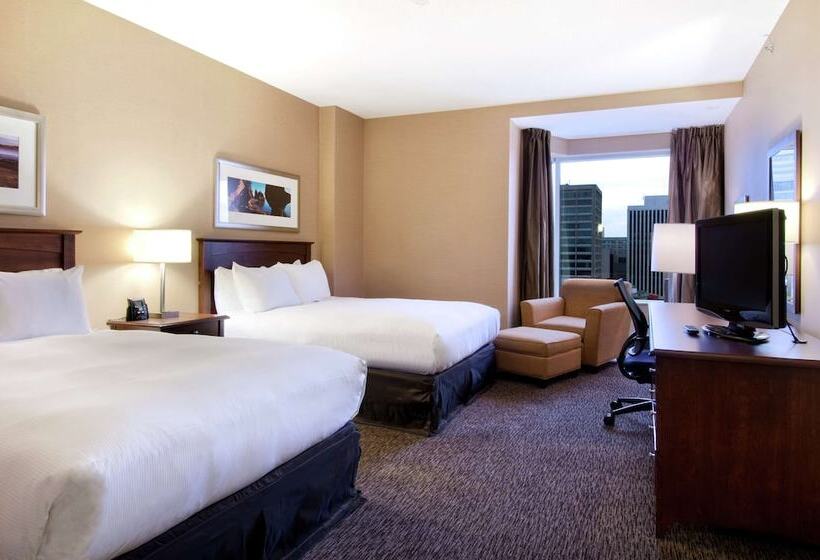 シングルデラックスルーム, Hilton Saint John