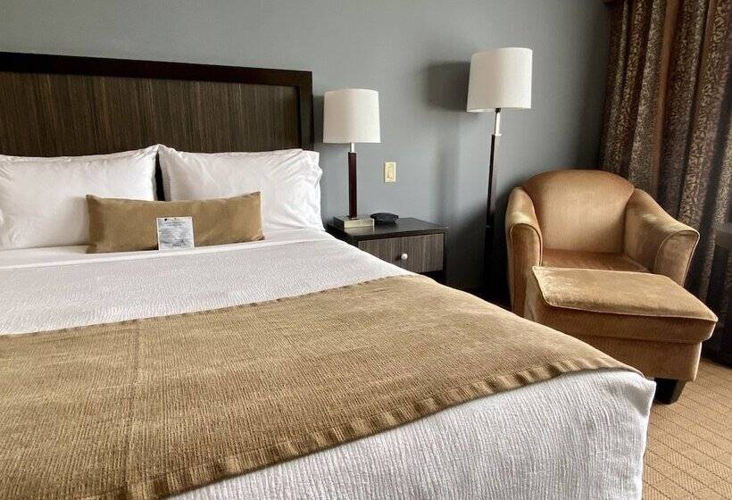 带2个双人床的标准工作室, Inn On Prince Hotel And Conference Centre Truro