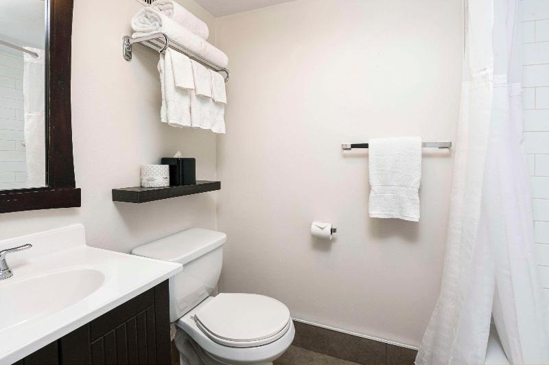Стандартный Номер Кровать Кинг, Quality Inn & Conference Centre Kingston Central