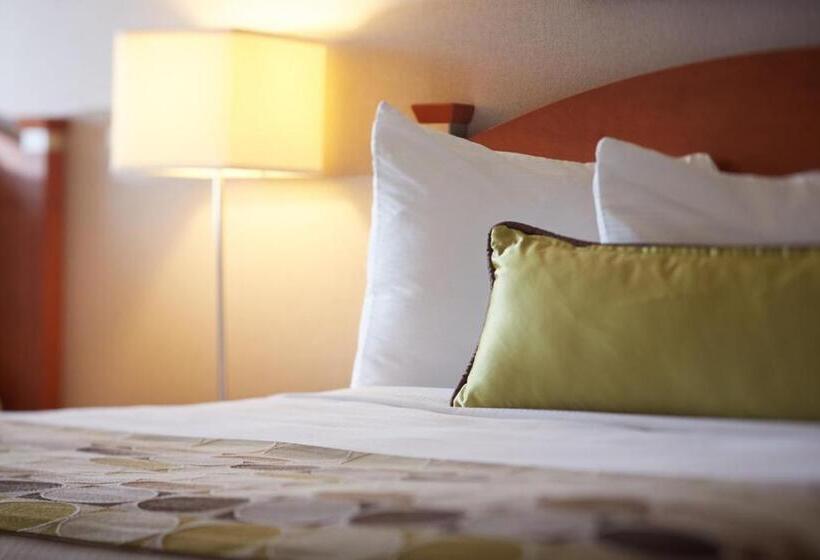 스탠다드 룸 더블 침대 2개, Quality Inn Rouynnoranda