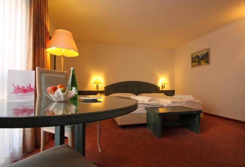 Полулюкс с Балконом, Central Sporthotel Davos
