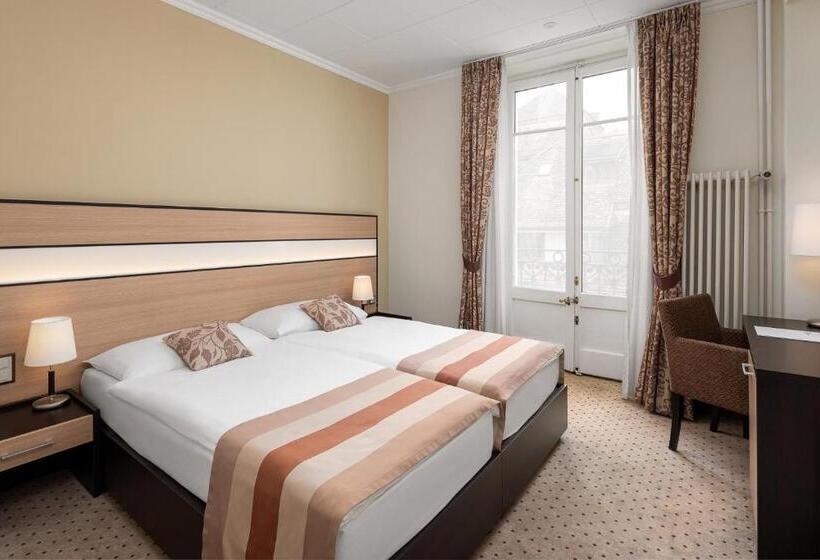 اتاق استاندارد با چشم‌انداز دریاچه, Hôtel Des Alpes