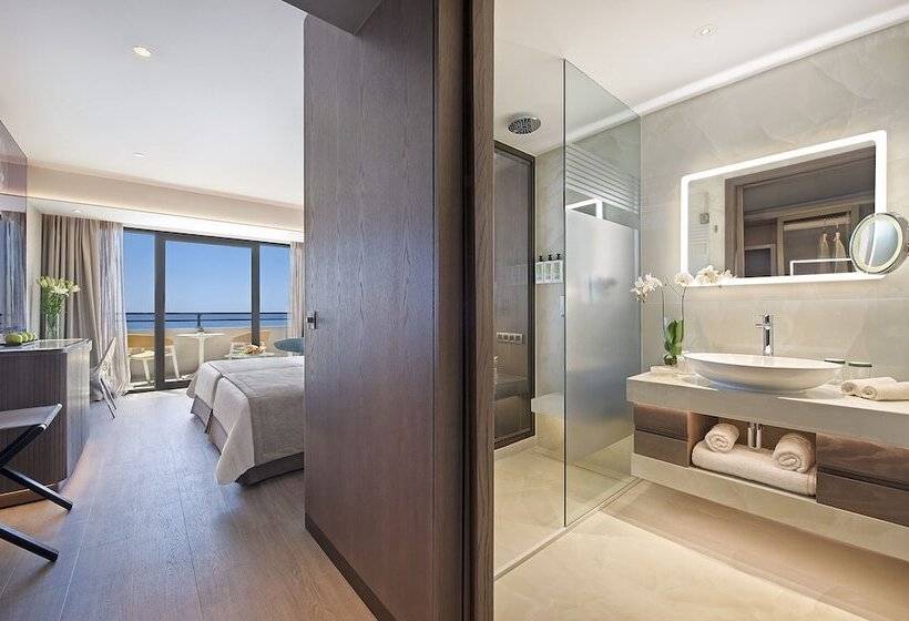 高级海景房, Amathus Beach Hotel Limassol