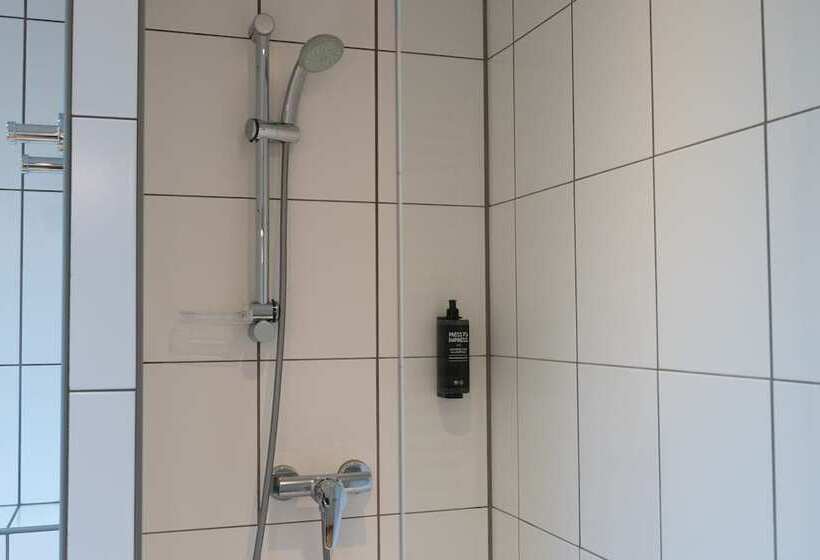 Люкс, Ibis Styles Nancy Centre Gare