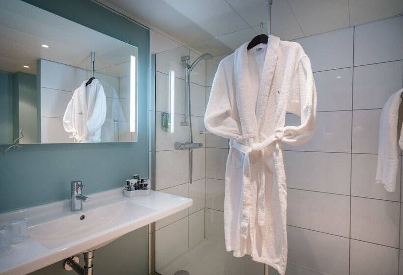 Номер Престиж, Mercure Mulhouse Centre