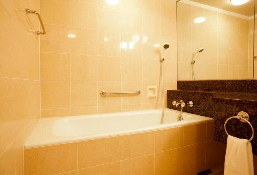 اتاق لوکس, Hida Takayama Onsen Hida Hotel Plaza