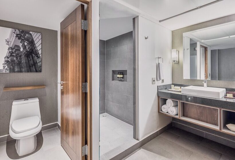 Номер Executive Кровать Кинг, Fiesta Americana Guadalajara