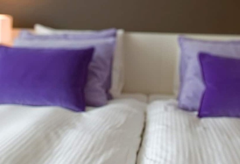 컴포트 룸, Van Der Valk Hotel Apeldoorn   De Cantharel