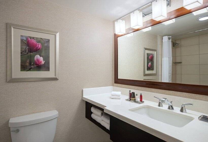 חדר סטנדרט שתי מיטות זוגיות, Atlanta Marriott Perimeter Center