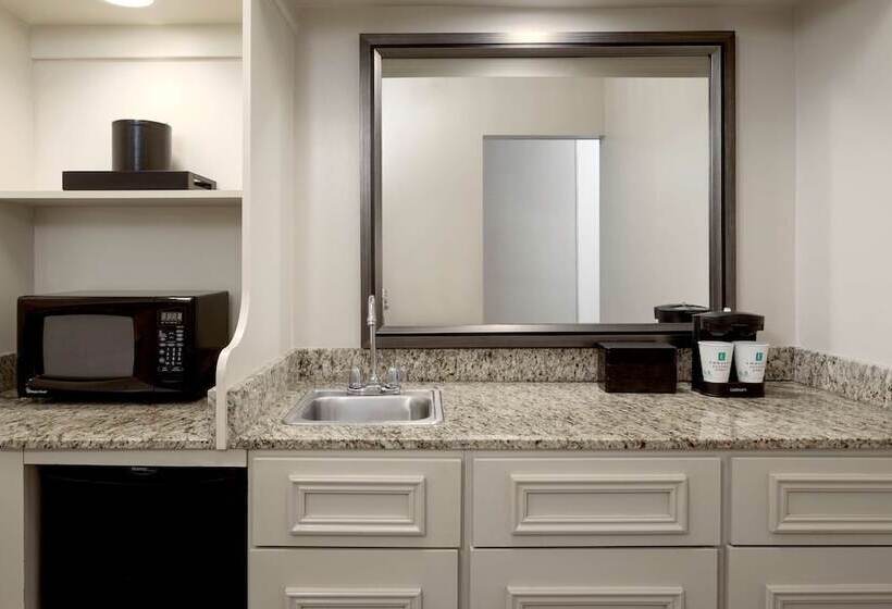 스탠다드 룸, Embassy Suites By Hilton Tampa Airport Westshore