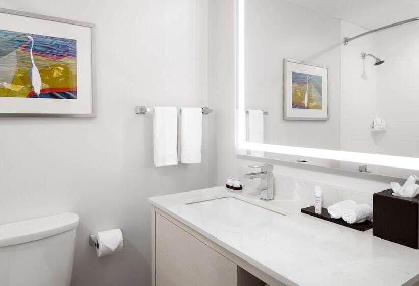 스탠다드 룸 더블 침대 2개, Embassy Suites By Hilton Tampa Airport Westshore