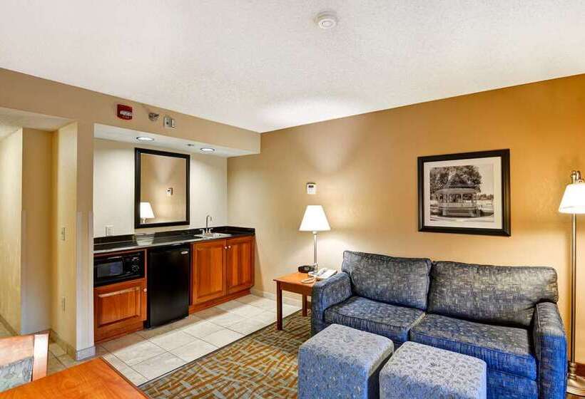 스탠다드 룸, Embassy Suites By Hilton Tampa Airport Westshore