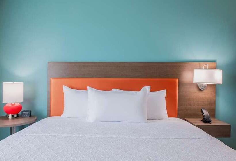 스탠다드 룸 킹사이즈 침대, Embassy Suites By Hilton Tampa Airport Westshore