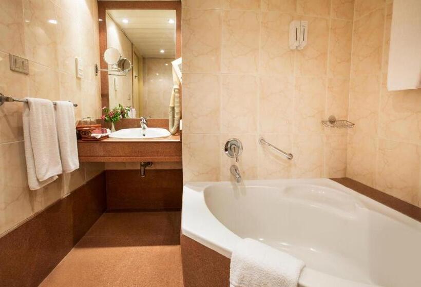 اتاق استاندارد یک تخته با چشم‌انداز شهر, Pyramisa Hotel Luxor