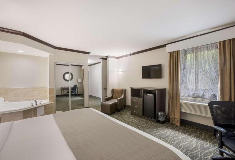 Стандартный Номер Кровать Кинг, Best Western Asheville Blue Ridge Parkway