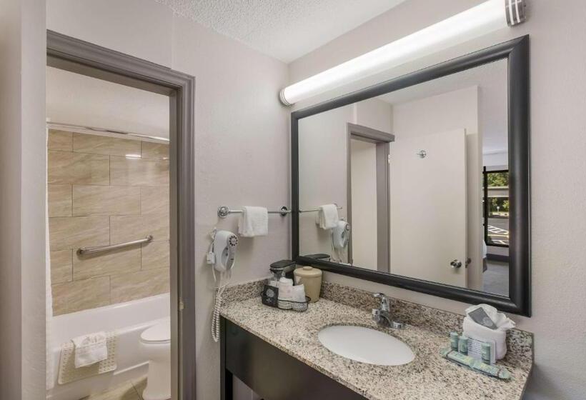 Номер Стандарт, Best Western Asheville Blue Ridge Parkway