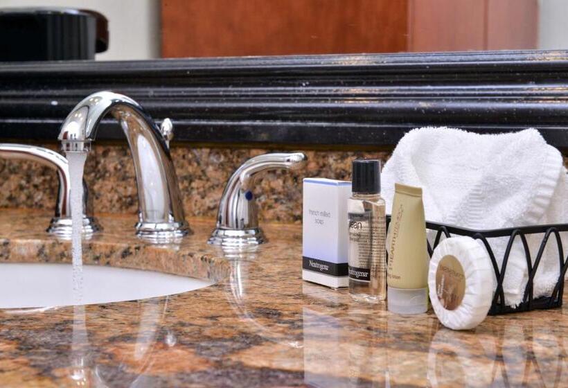 스탠다드 룸 킹사이즈 침대, Best Western Capistrano Inn
