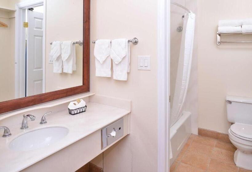 장애인을 위한 퀸사이즈 스탠다드 룸, Best Western Capistrano Inn