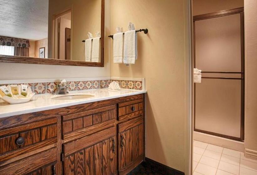 스탠다드 룸 킹사이즈 침대, Best Western Casa Grande Inn