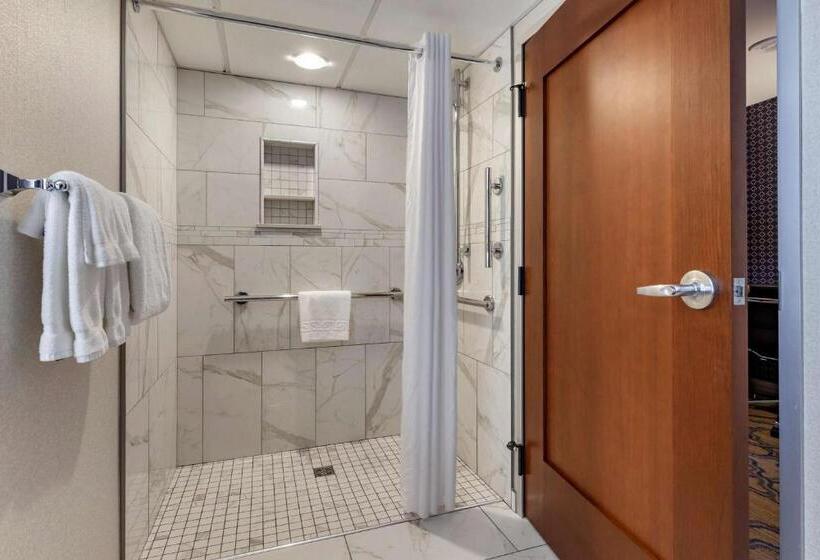Номер Стандарт Адаптированный для Инвалидов, Best Western Premier Park