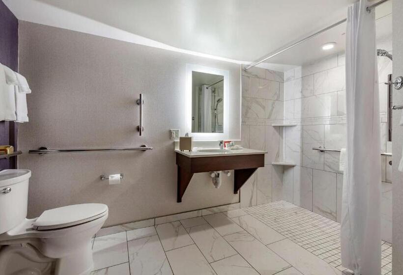 Номер Стандарт Адаптированный для Инвалидов, Best Western Premier Park