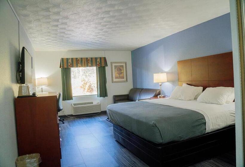 Номер Deluxe Кровать Кинг, Royal Inn & Suites