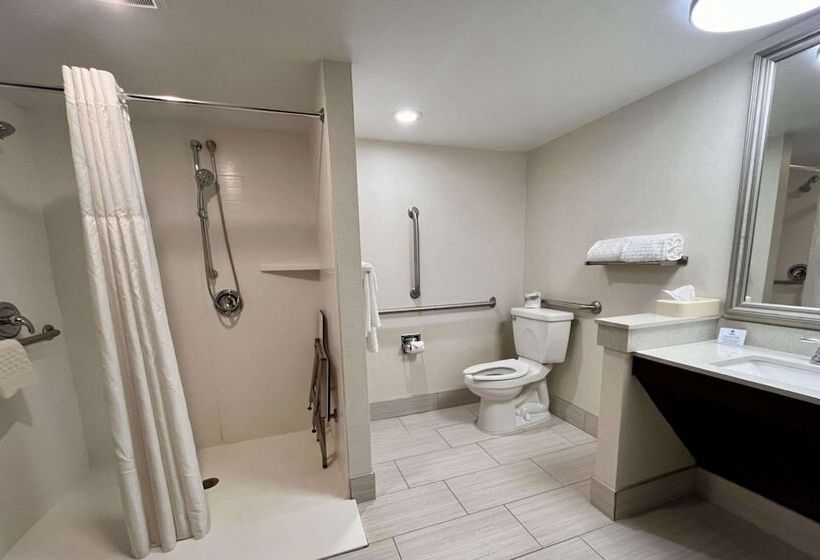 스위트, Best Western Okemos/east Lansing Hotel & Suites