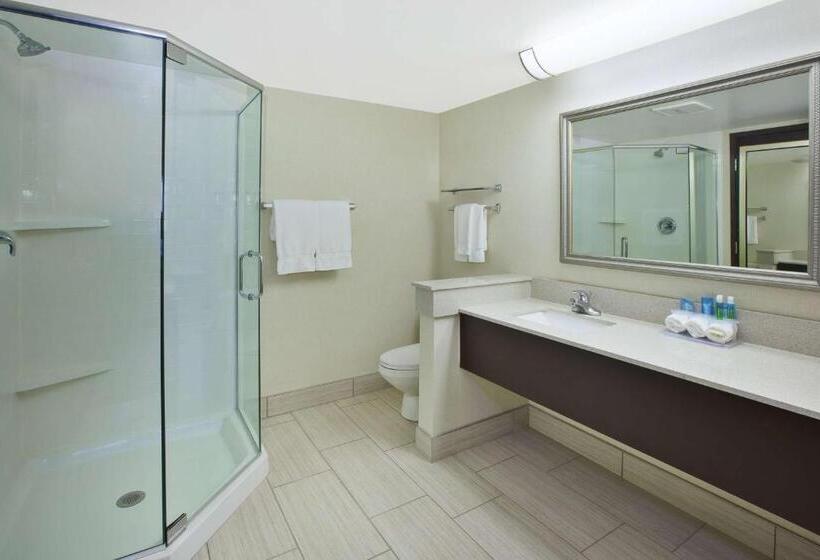 스위트, Best Western Okemos/east Lansing Hotel & Suites