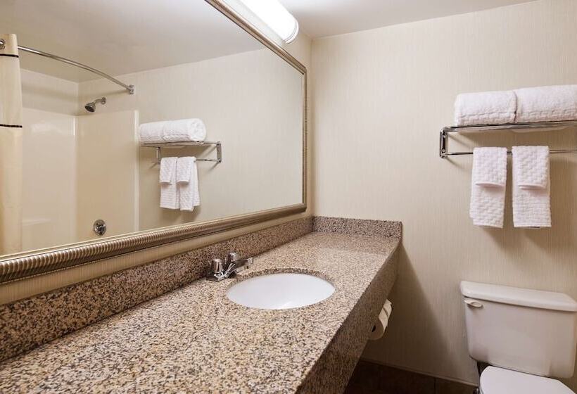 带2个双人床的标准工作室, Best Western Royal Plaza Hotel And Trade Center