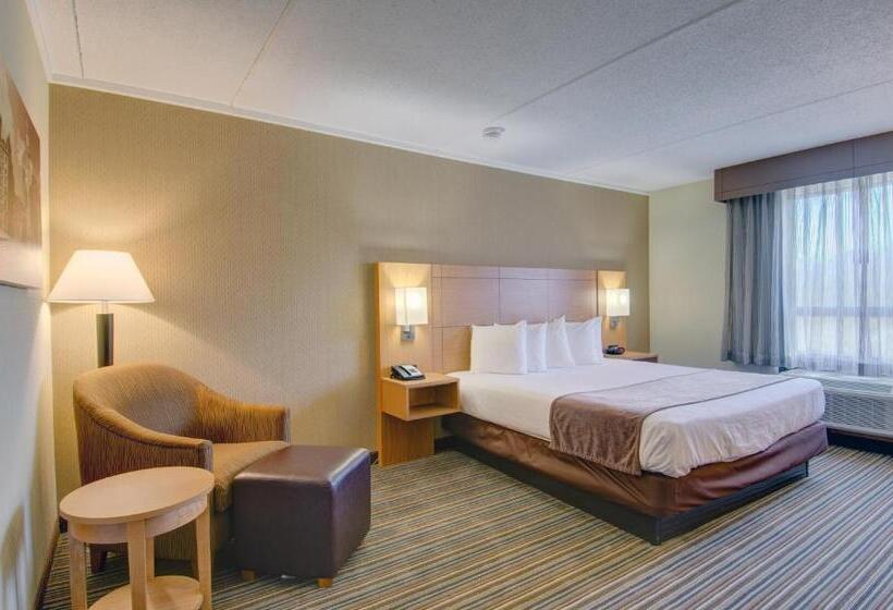 带大床的标准间, Best Western Royal Plaza Hotel And Trade Center