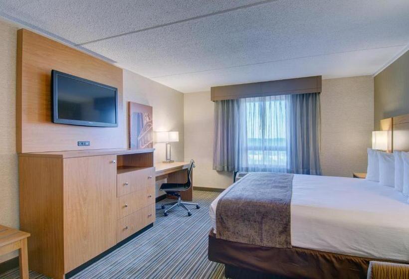 适合残疾人士使用的带超级大床的标准间, Best Western Royal Plaza Hotel And Trade Center