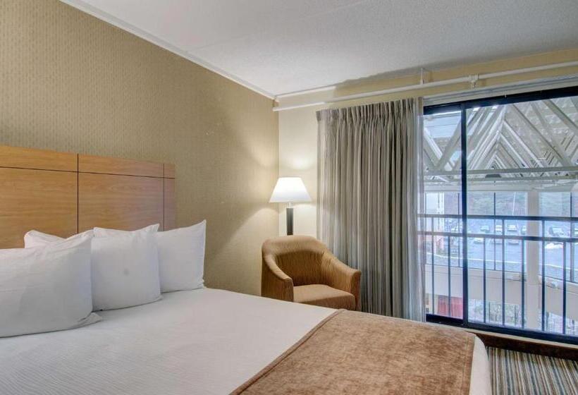 带2个双人床的标准工作室, Best Western Royal Plaza Hotel And Trade Center