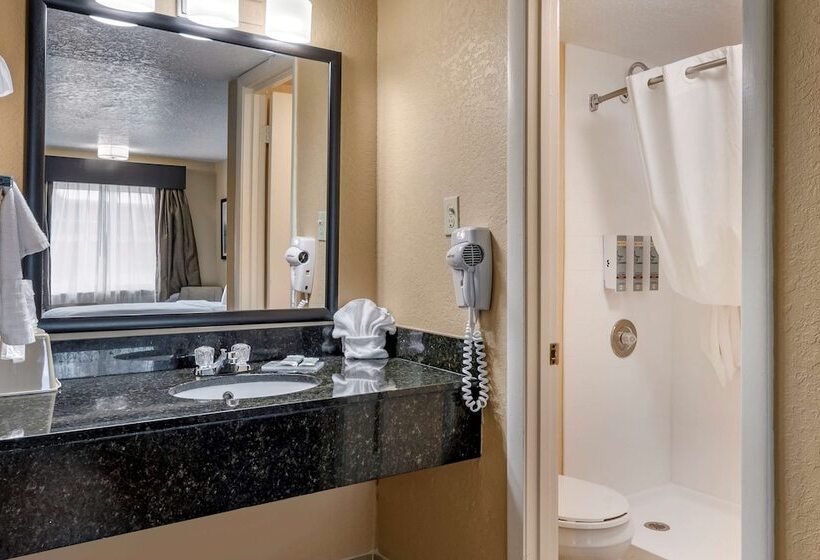 Люкс, Best Western Space Shuttle Inn