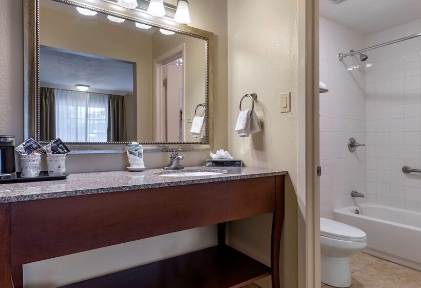 Номер Стандарт 2 Двуспальные Кровати, Best Western Swiss Clock Inn
