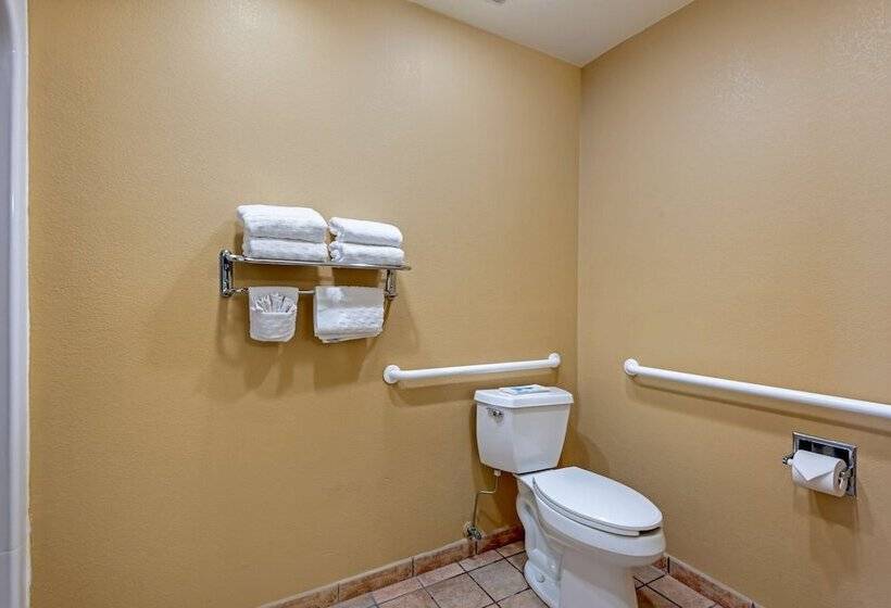 Люкс Адаптированный для Инвалидов, Best Western Turquoise Inn & Suites