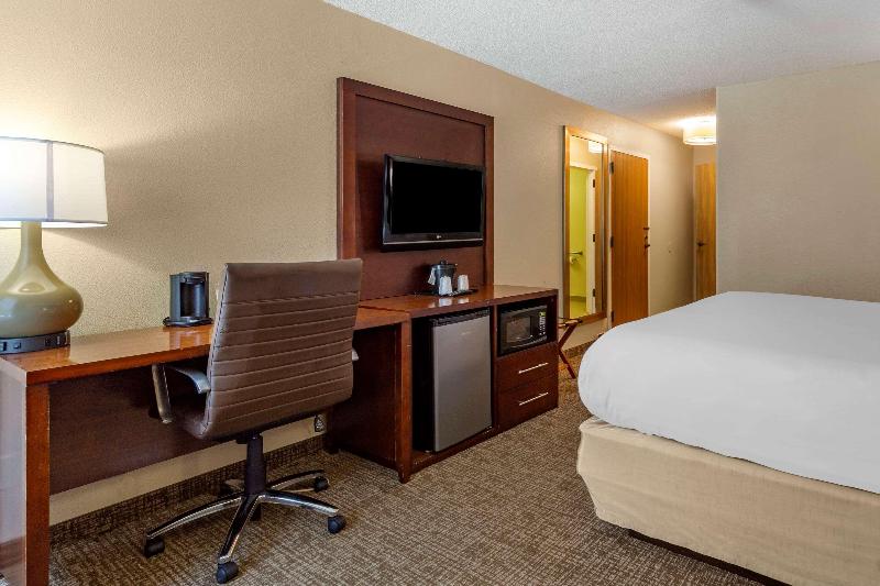 스탠다드 룸 킹사이즈 침대, Comfort Inn Laurinburg
