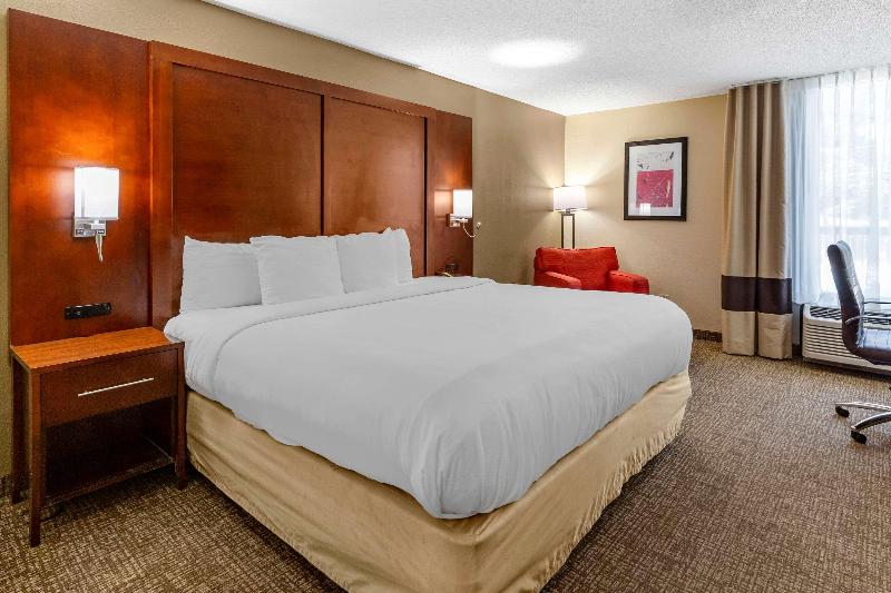 스탠다드 룸 킹사이즈 침대, Comfort Inn Laurinburg