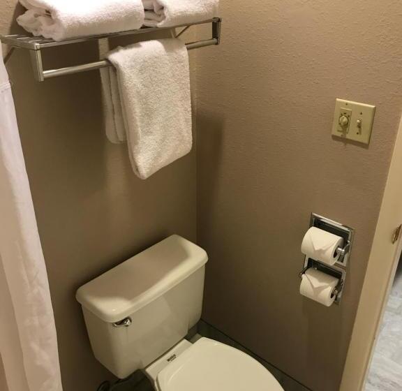 스탠다드 룸 킹사이즈 침대, Quality Inn Cedar City   University Area