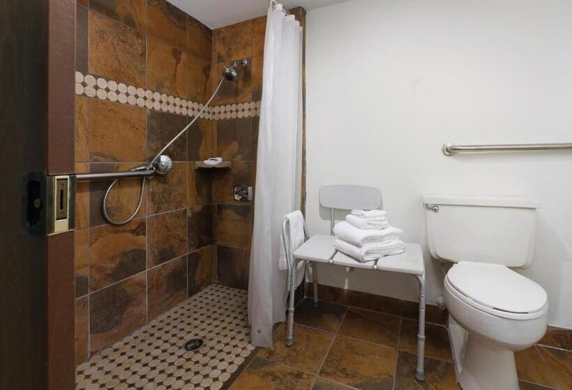 Номер Стандарт Адаптированный для Инвалидов, Ramkota Hotel   Casper