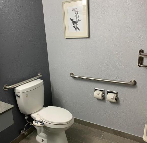 Номер Стандарт, American Inn Cedar Rapids South