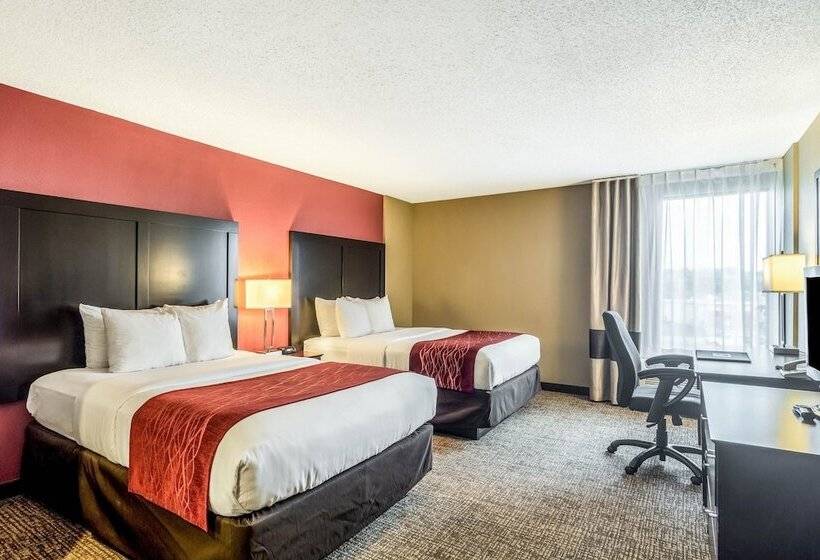 Camera Standard 2 Letti Matrimoniali, Comfort Inn Convention Centerchicago O Hare Airport