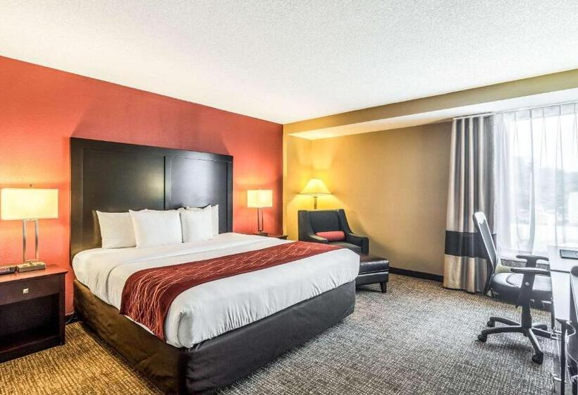Camera Standard Letto King, Comfort Inn Convention Centerchicago O Hare Airport