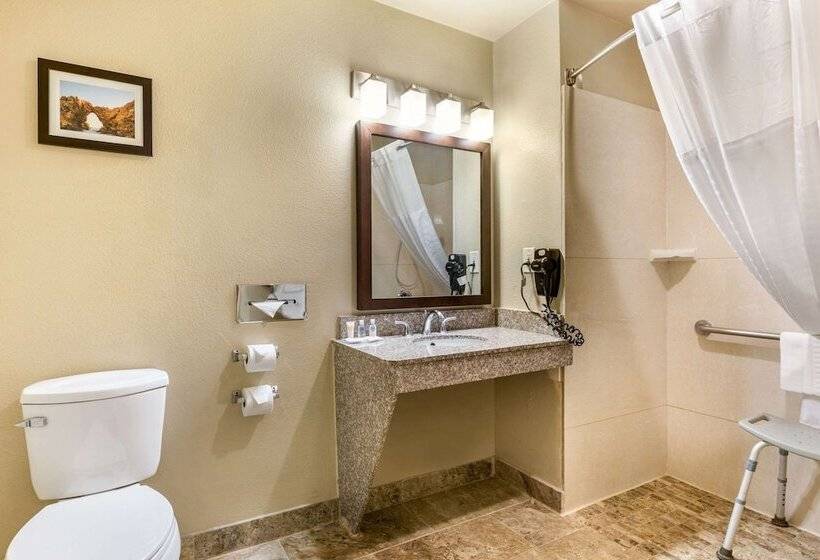 Номер Стандарт Кровать Кинг Адаптированный для Инвалидов, Comfort Inn & Suites Orange County John Wayne Airport