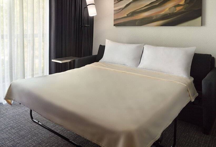 ダブルベッドスタンダードルーム, Courtyard By Marriott Tallahassee Downtown/capital