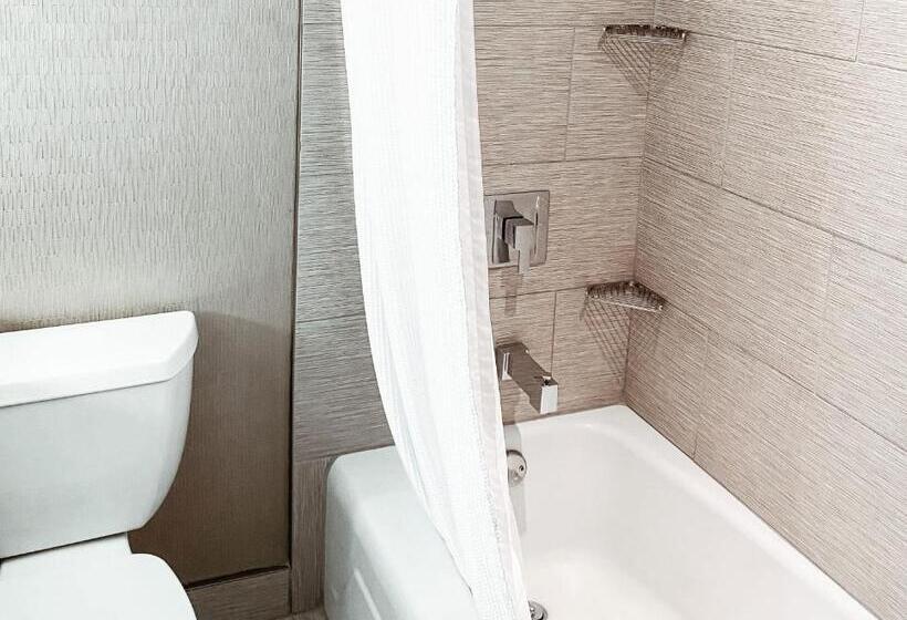 Suite King Size Seng, Crowne Plaza Chicago Sw   Burr Ridge, An Ihg