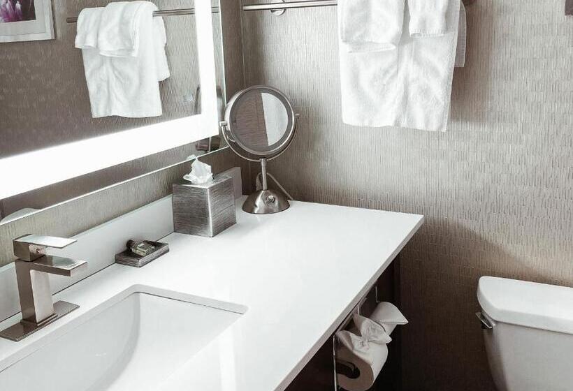 Suite King Size Seng, Crowne Plaza Chicago Sw   Burr Ridge, An Ihg