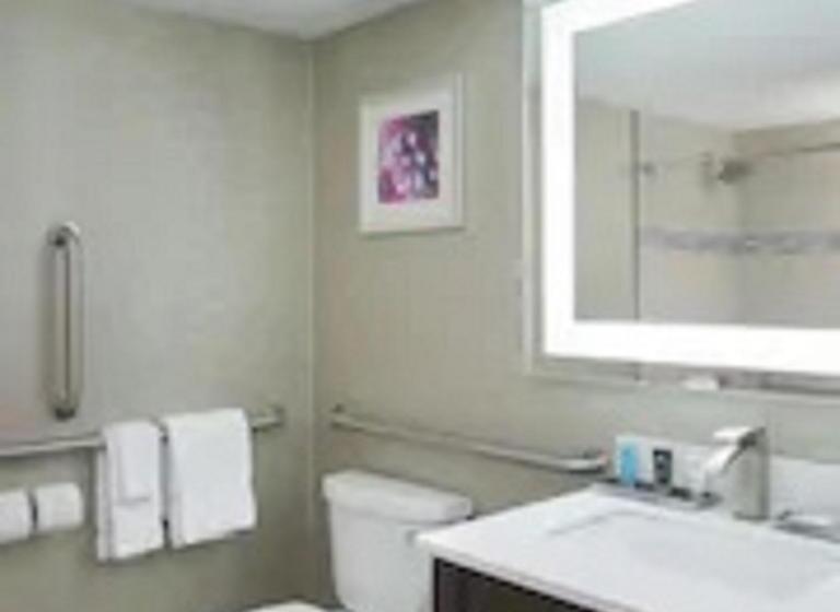 Standard Værelse King-seng Tilpasset til Handicappede, Crowne Plaza Chicago Sw   Burr Ridge, An Ihg