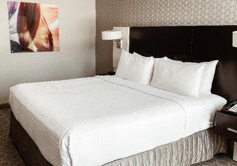Standard Værelse Tilpasset til Handicappede, Crowne Plaza Chicago Sw   Burr Ridge, An Ihg