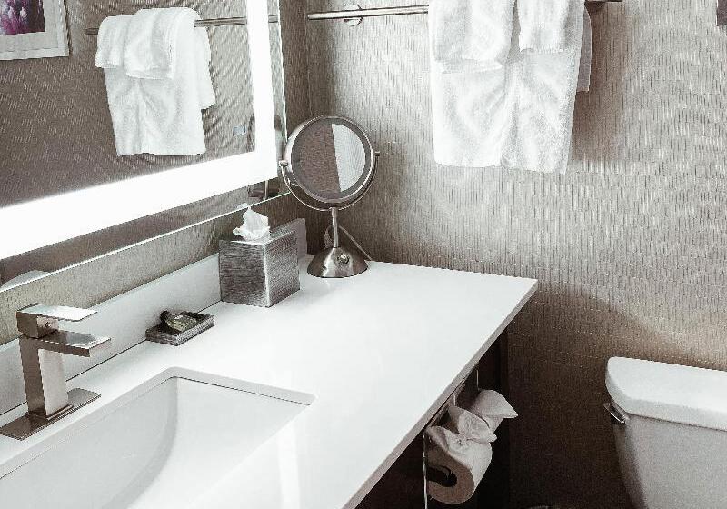 Standard Værelse King-seng Tilpasset til Handicappede, Crowne Plaza Chicago Sw   Burr Ridge, An Ihg