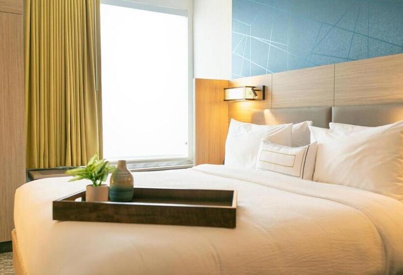 带大床的套房, Springhill Suites By Marriott South Bend Notre Dame Area